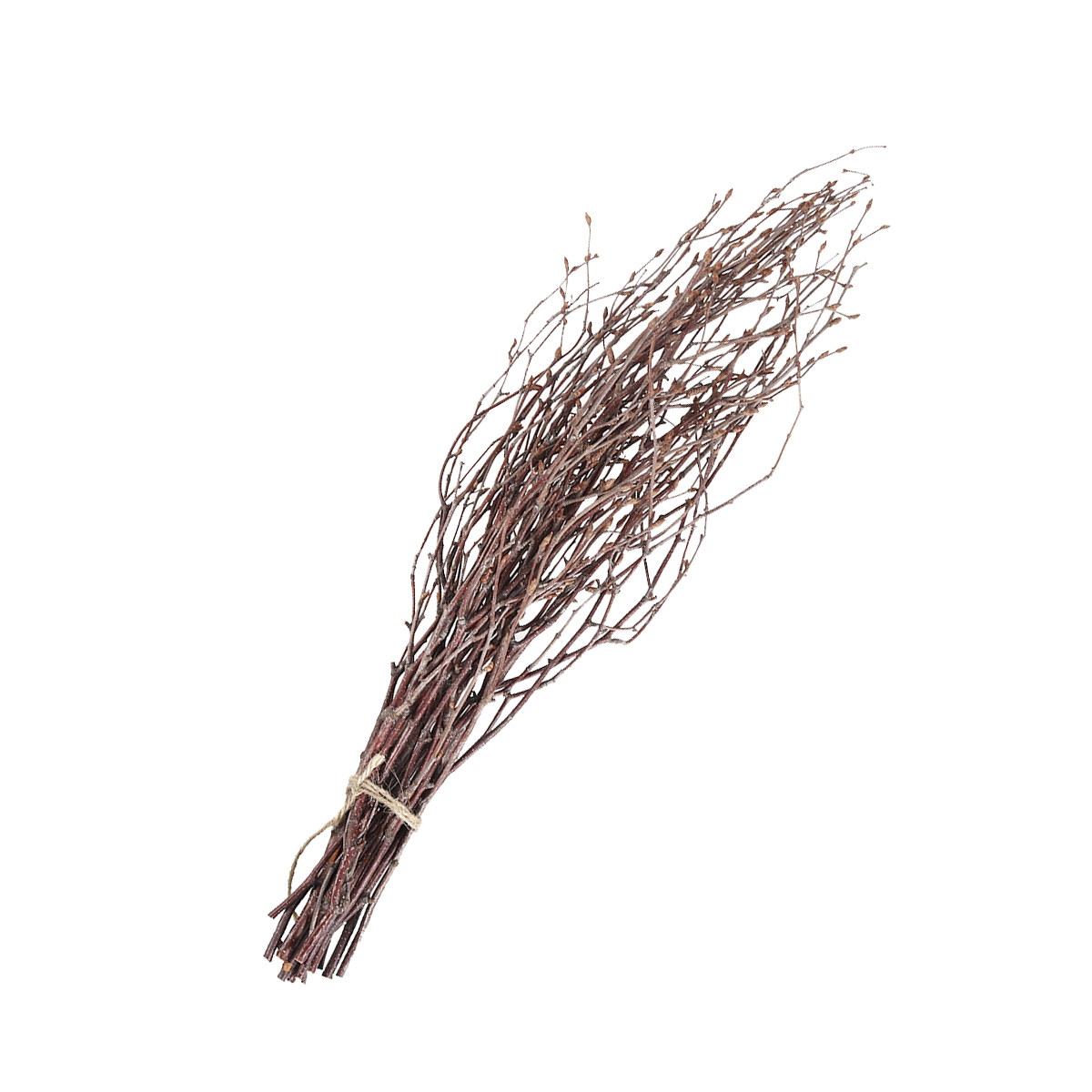 Art Craft Stick - กิ่งไม้เบิร์ชธรรมชาติ 10 ชิ้น ขนาด 40 ซม.