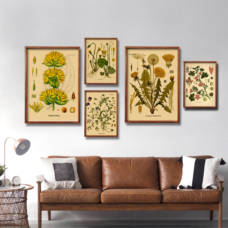 โปสเตอร์ภาพพิมพ์ลายดอกไม้และพื - Art Craft Items บทวิจารณ์และราคา