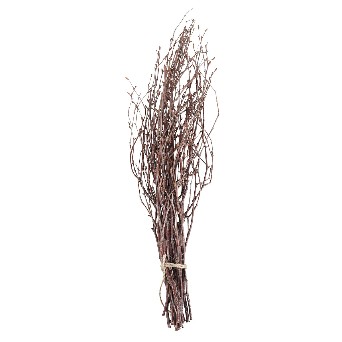 กิ่งไม้เบิร์ชธรรมชาติ 10 ชิ้น  - Art Craft Stick บทวิจารณ์และราคา