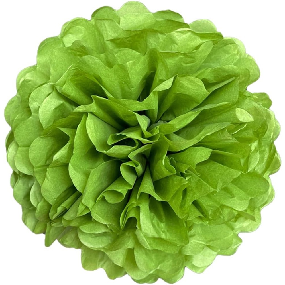 พู่กระดาษทิชชู 5 ชิ้น ขนาด 6 8 - Art Craft Items บทวิจารณ์และราคา