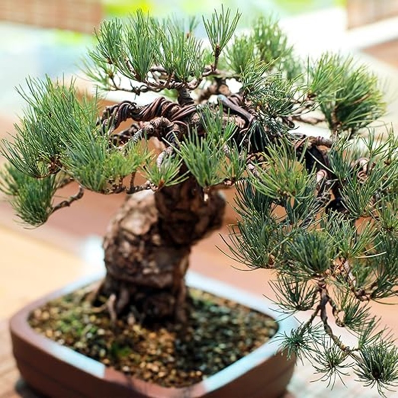 ลวดอลูมิเนียมสีดำขนาด 1 มม. ยา - Art Craft Wire บทวิจารณ์และราคา